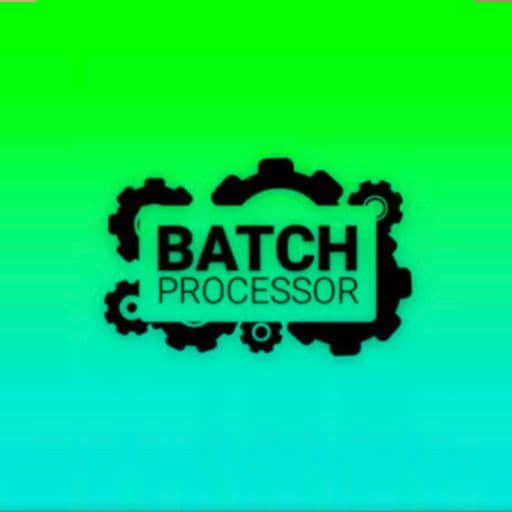 BatchProcessor