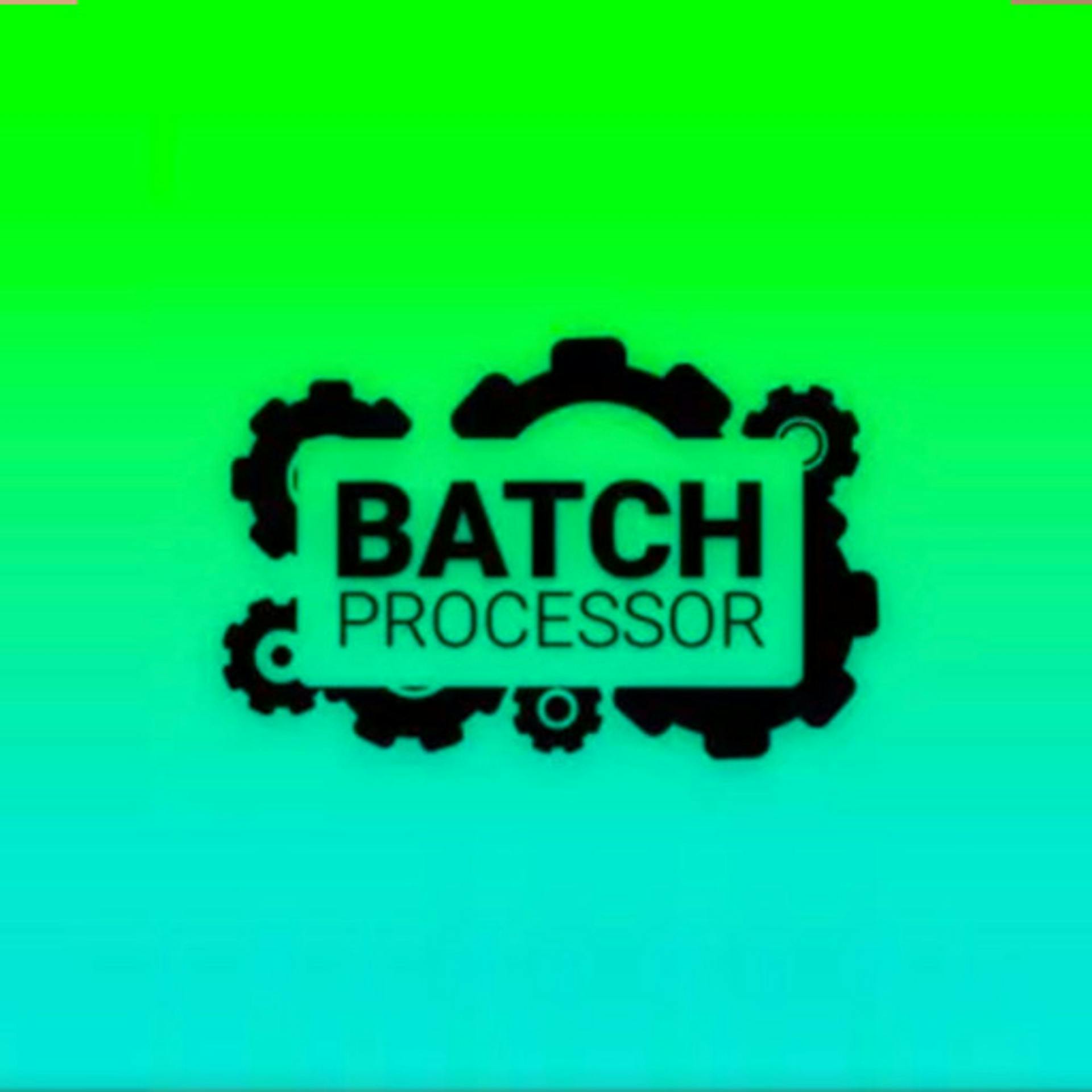BatchProcessor